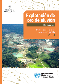 Resumen ejecutivo año 2024