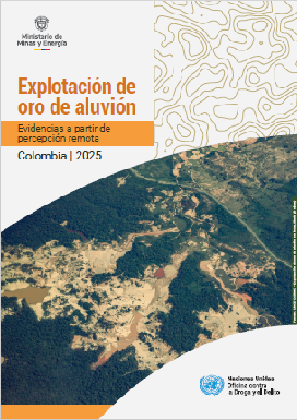 Resumen ejecutivo año 2025